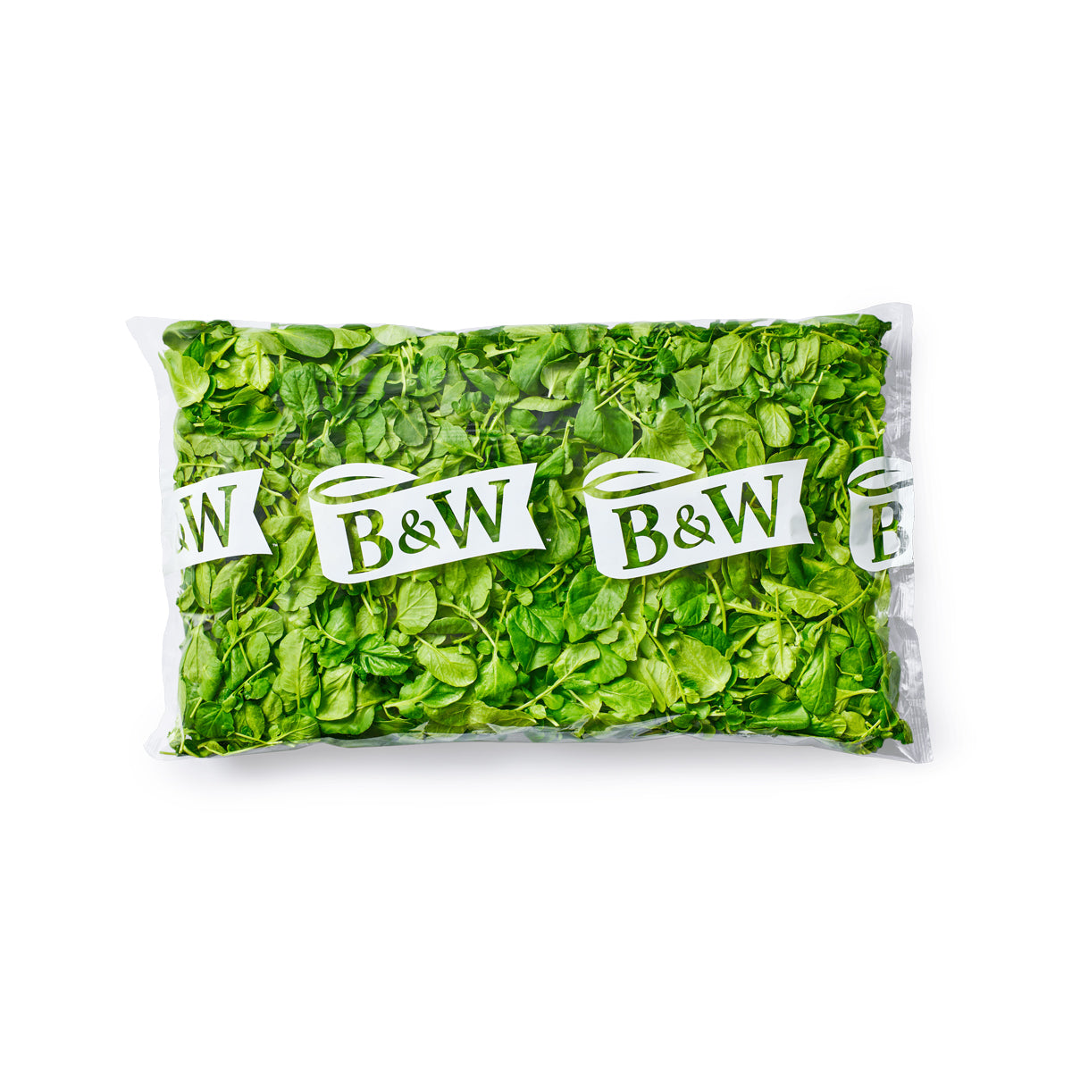 Baby Watercress