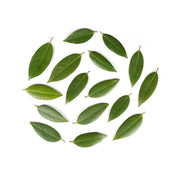 Wild Bay Leaves