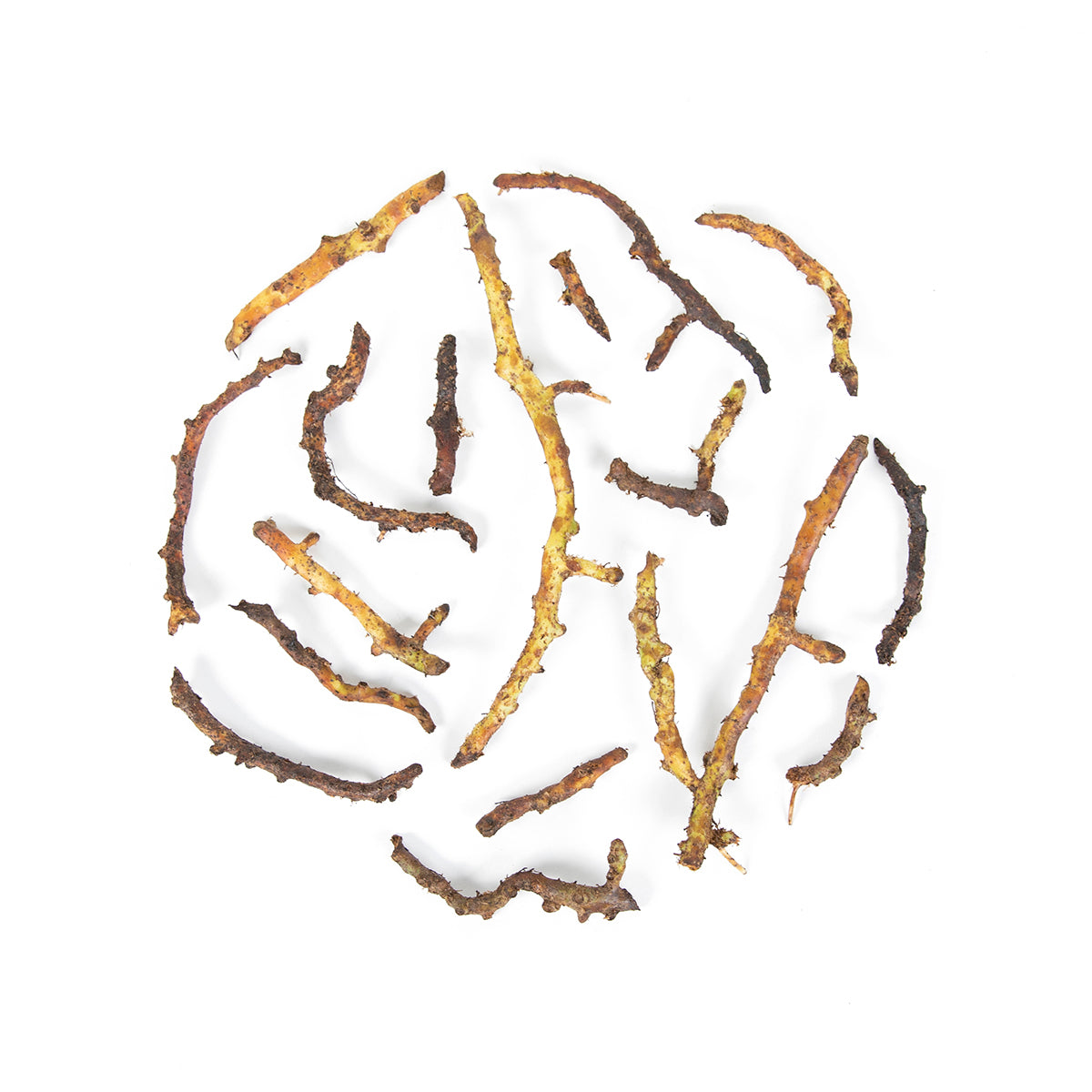 Wild Licorice Roots