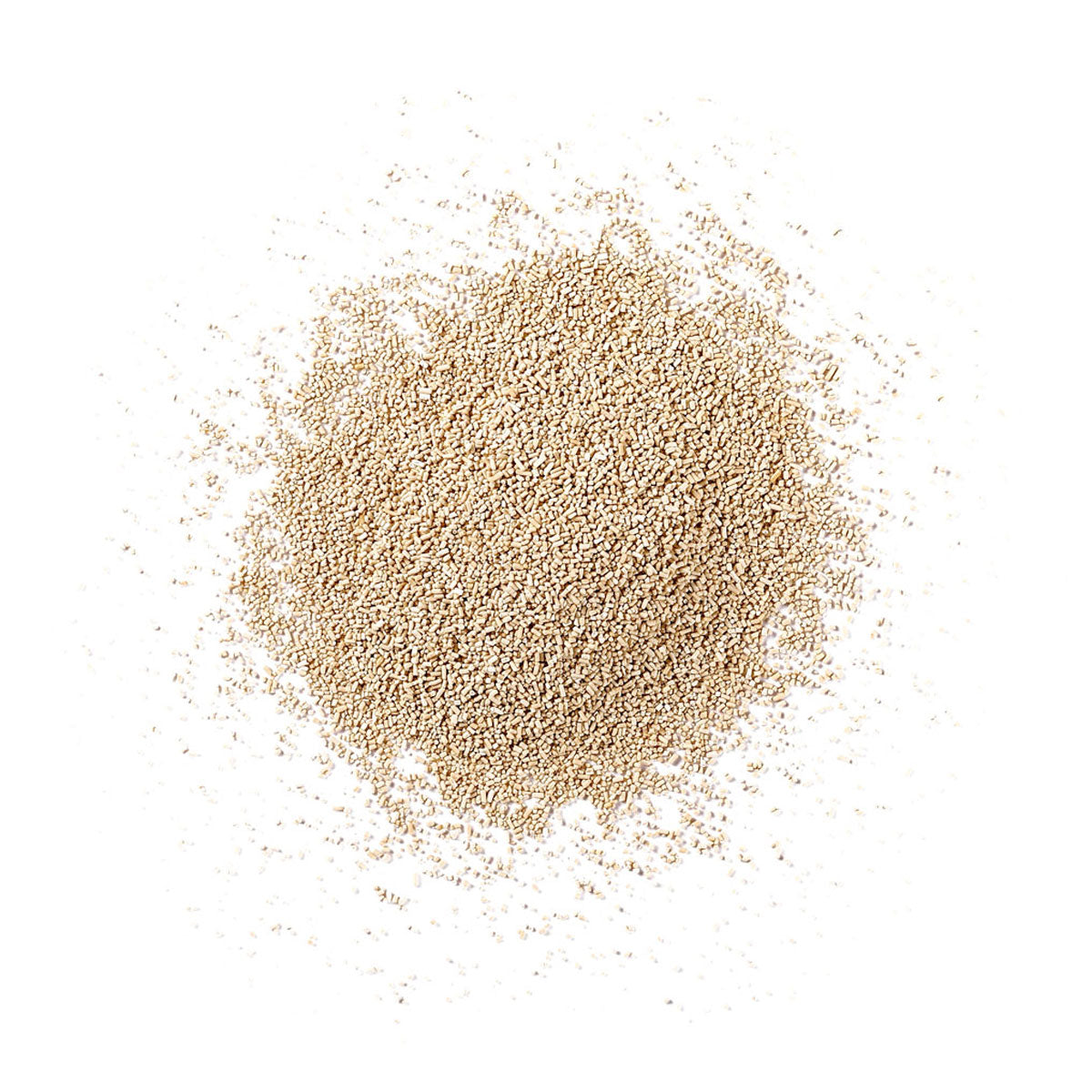Active Dry Yeast