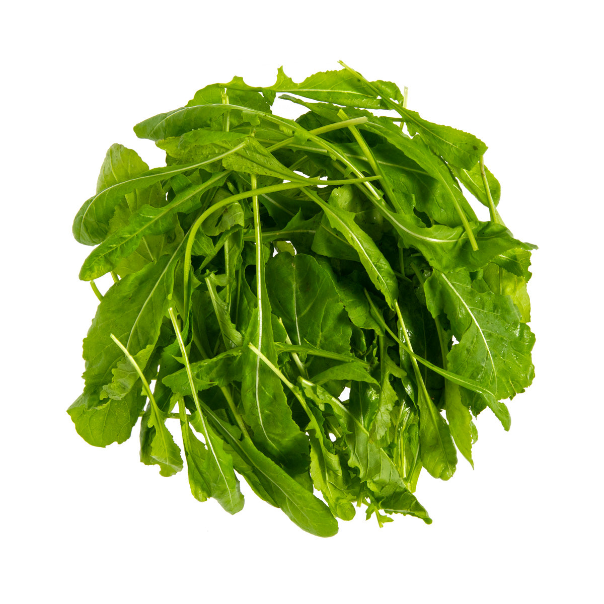 Organic Arugula