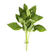 Organic Basil