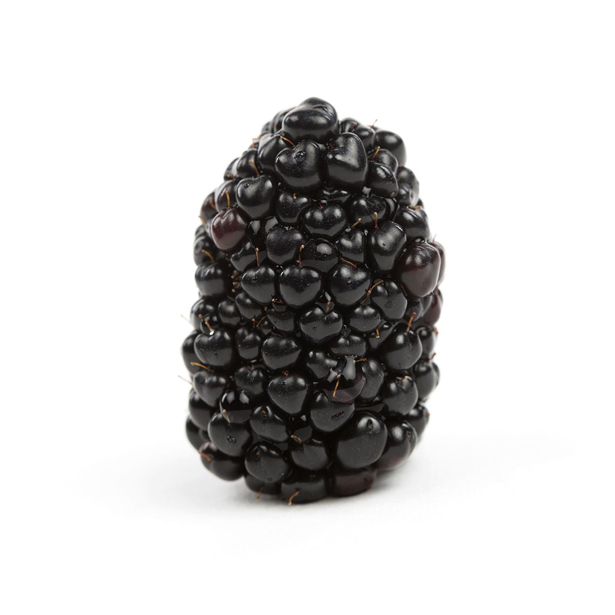 Organic Blackberries