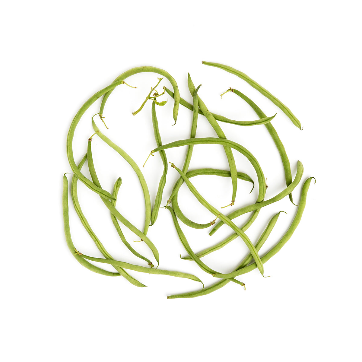Organic Maxibel Beans