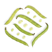 Fava Beans