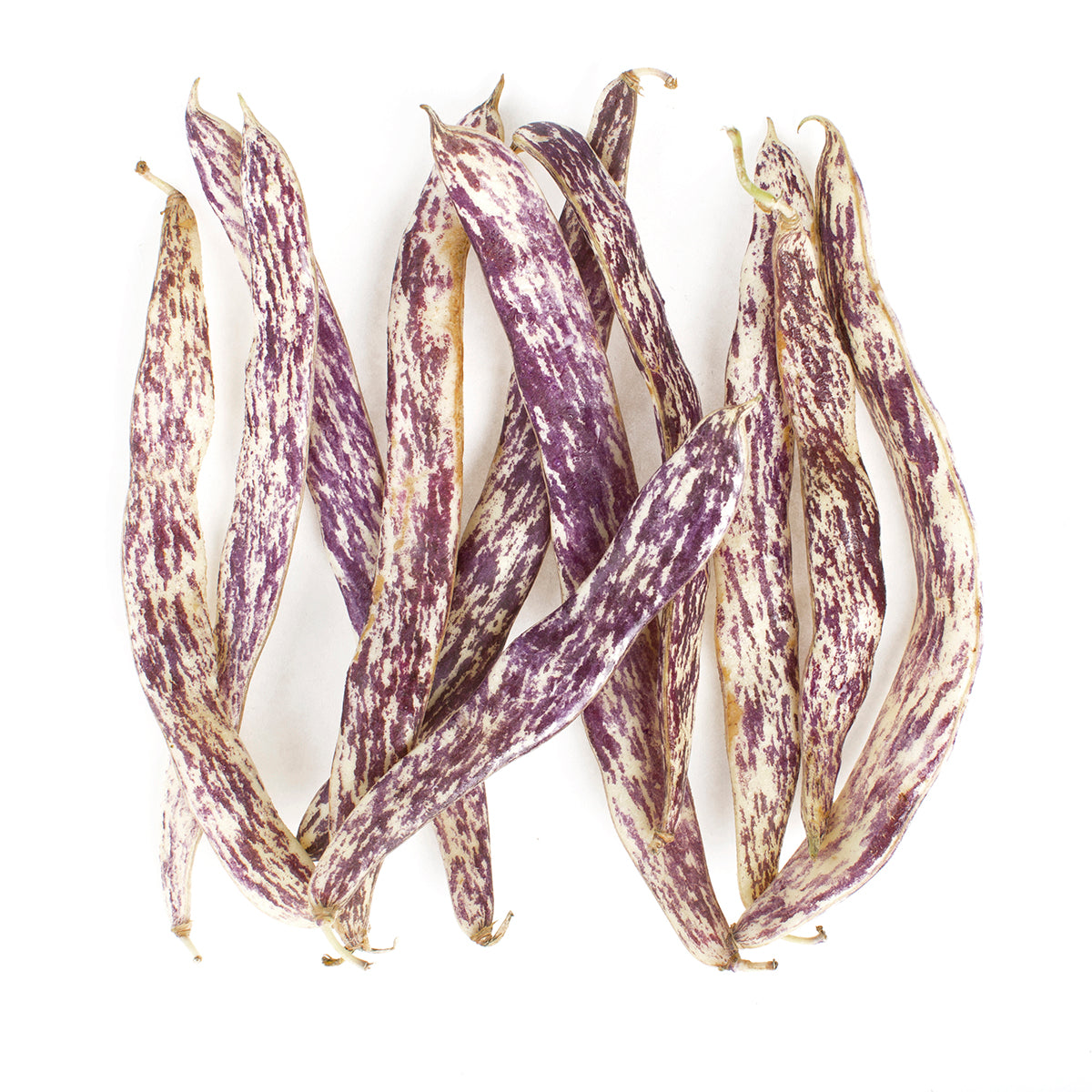 Organic Dragon Tongue Beans