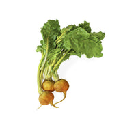 Organic Cal-O Golden Beets