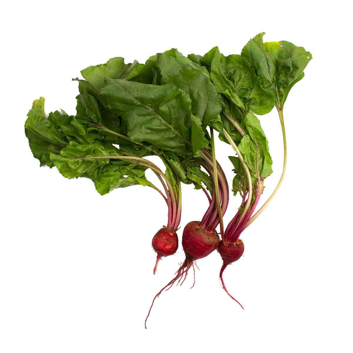 Organic Red Beets