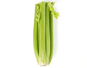 Organic Celery