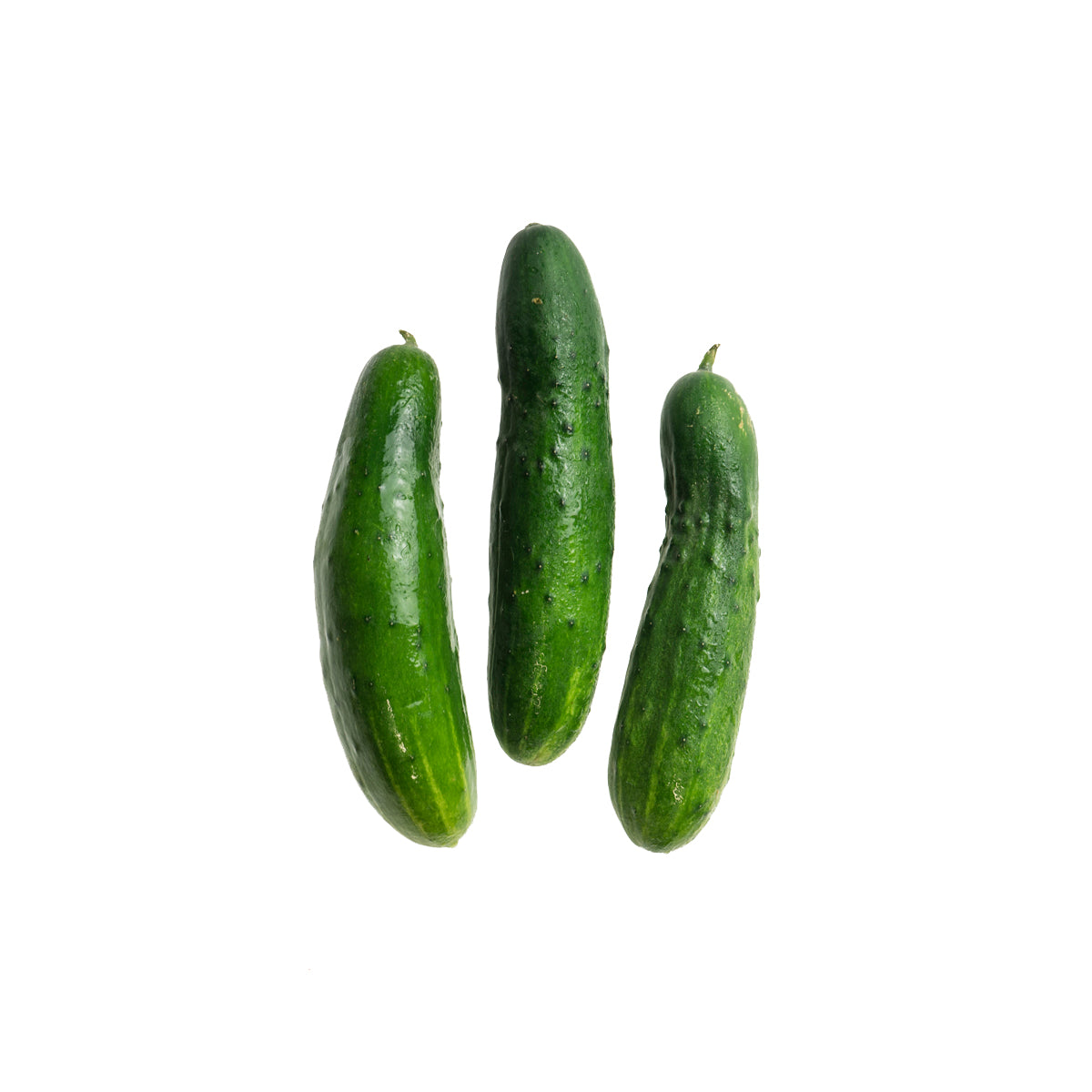 Organic Cucumbers