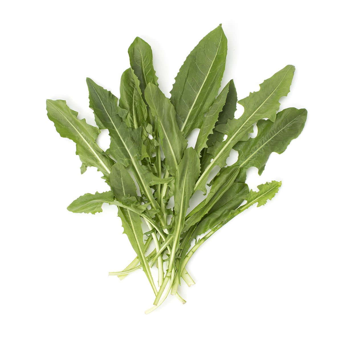 Organic Green Dandelion