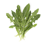 Organic Green Dandelion
