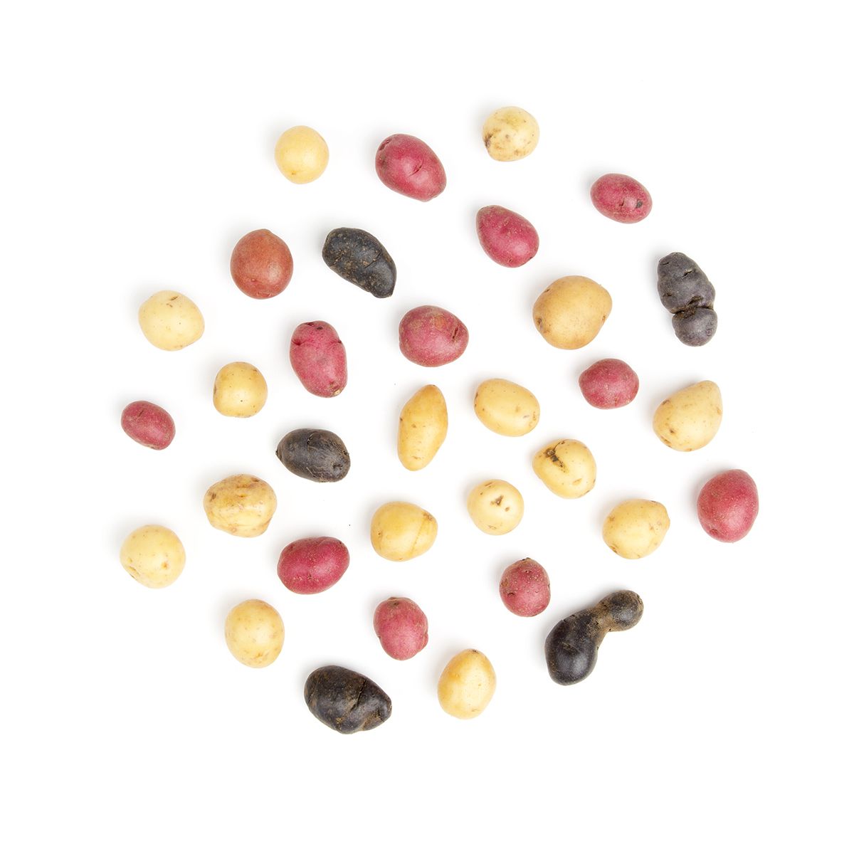 Organic Multi-Color Pee-wee Potatoes