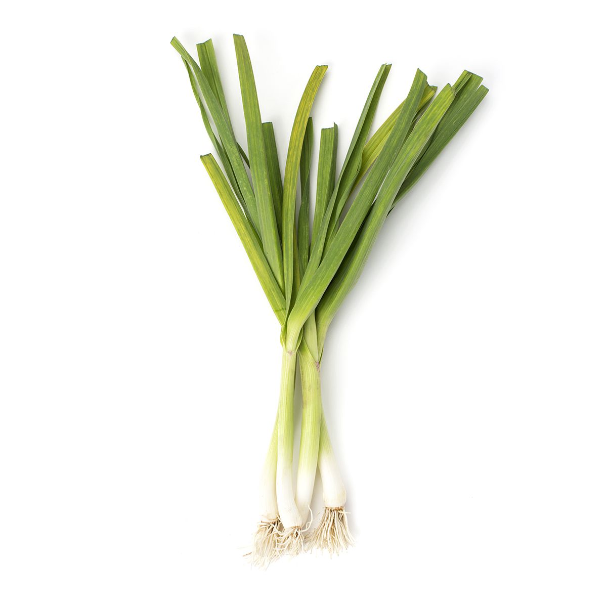 Organic Green Spring Garlic
