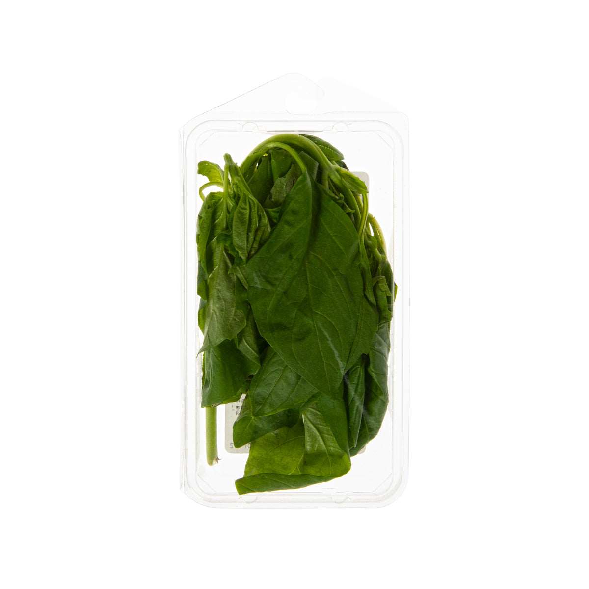 Organic Basil