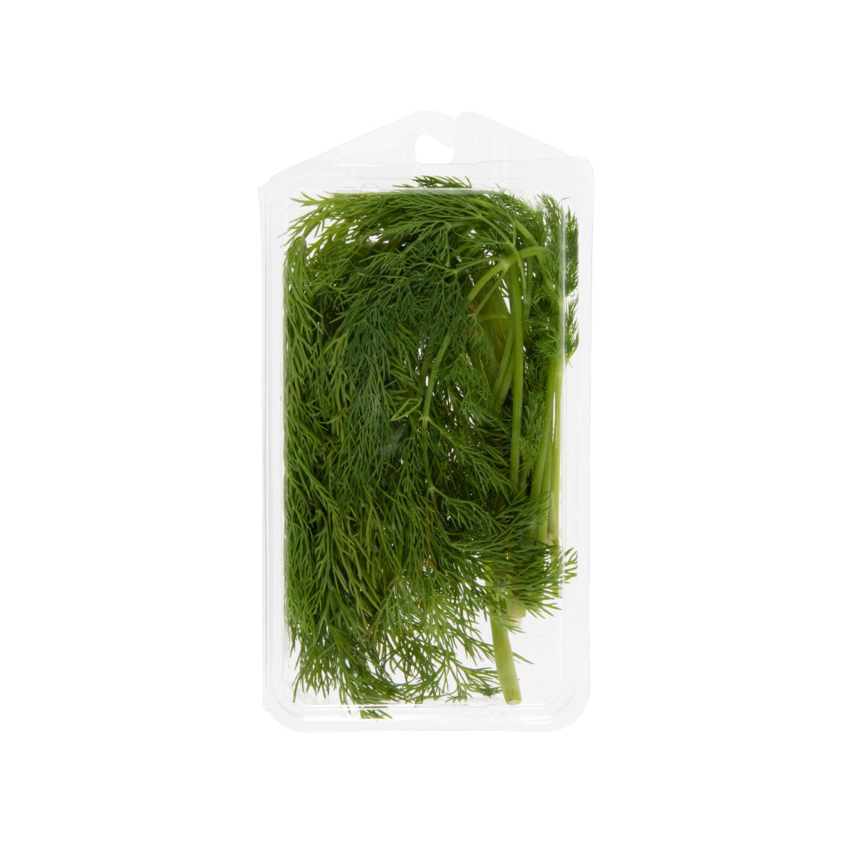 Organic Dill
