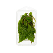 Organic Spearmint