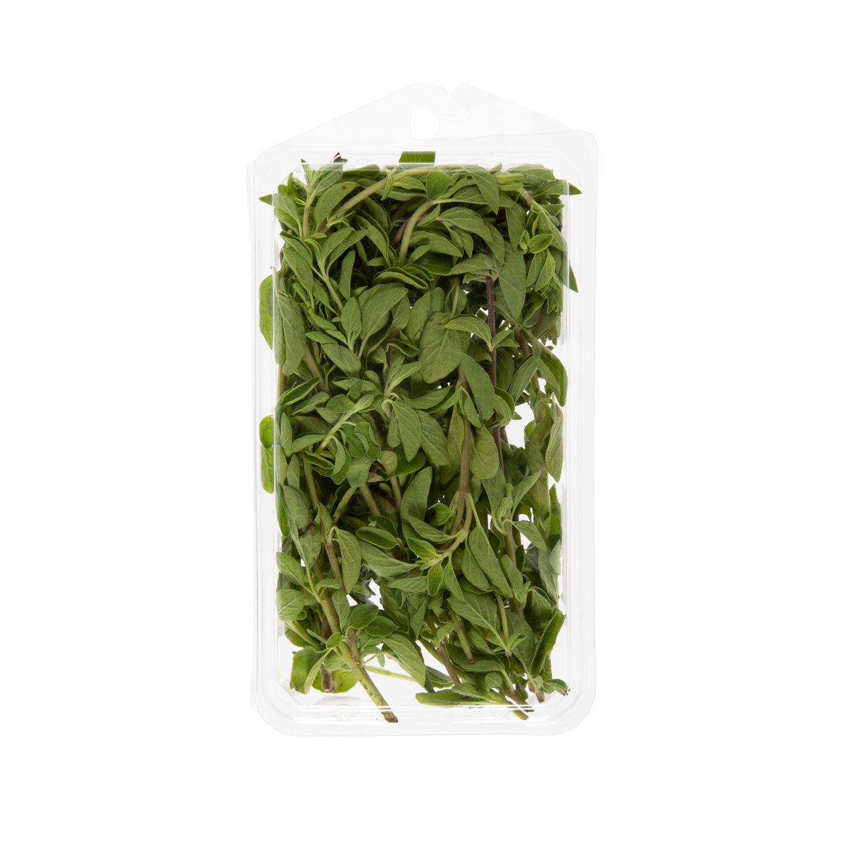 Organic Oregano