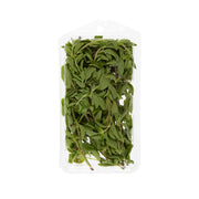 Organic Oregano