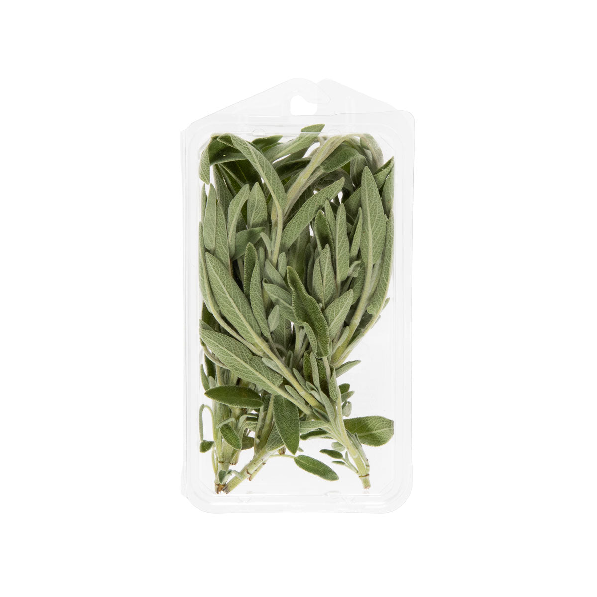 Organic Sage