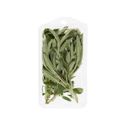 Organic Sage