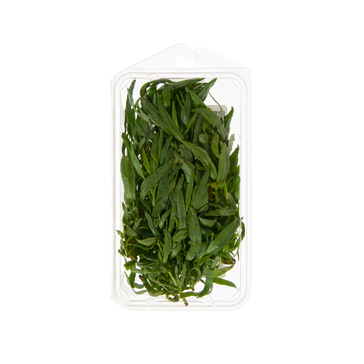 Organic Tarragon