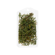 Organic Thyme