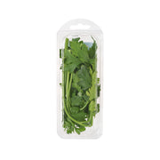 Organic Italian Parsley