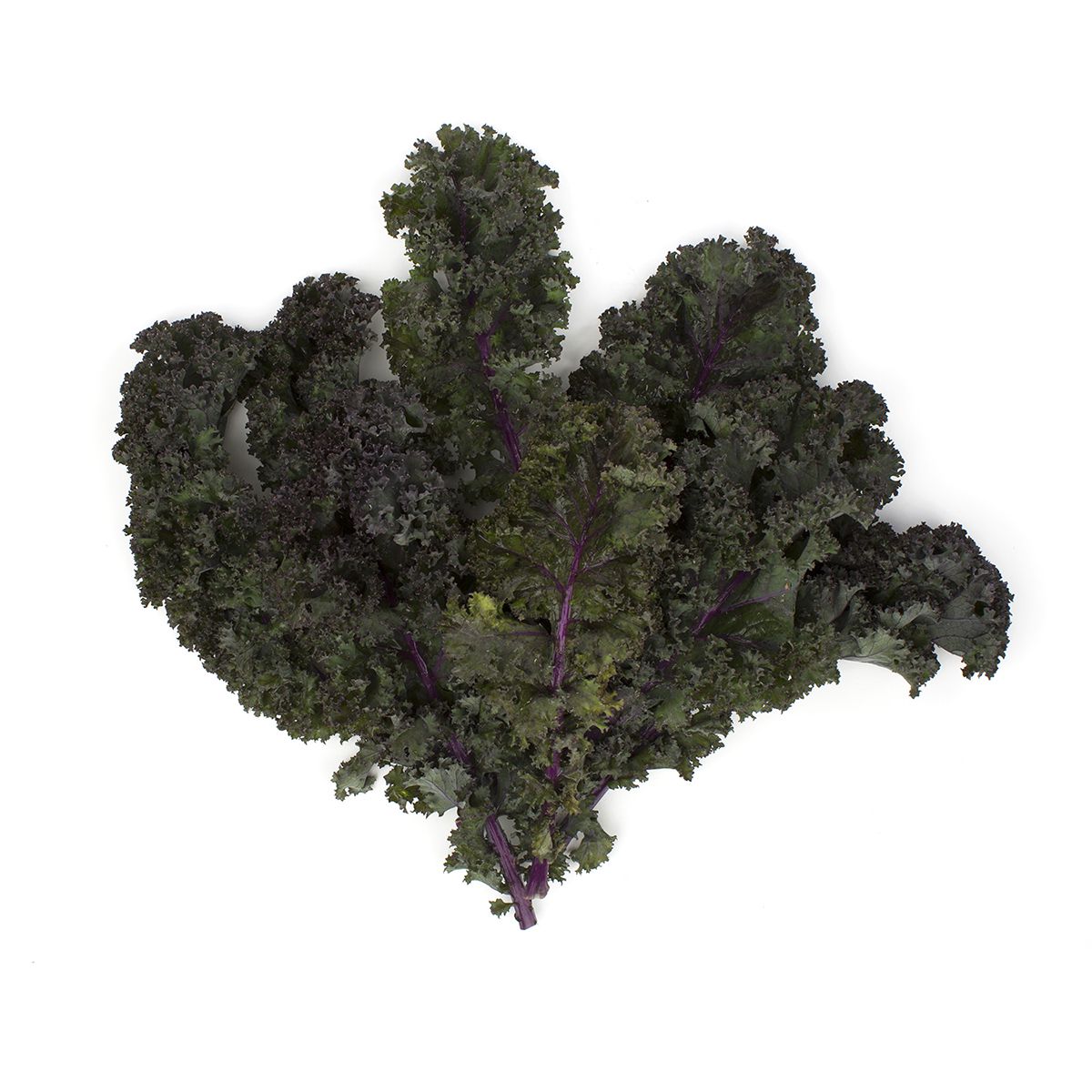 Organic Red Kale