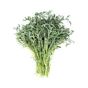 Organic Spigarello
