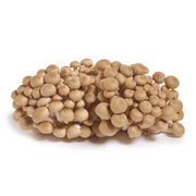 Organic Brown Beech Mushrooms