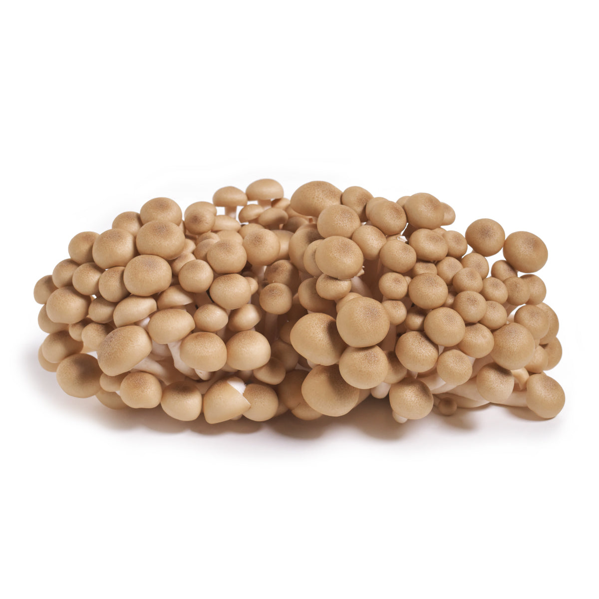 Organic Brown Beech Mushrooms