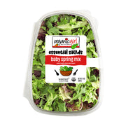 Organic Baby Spring Mix