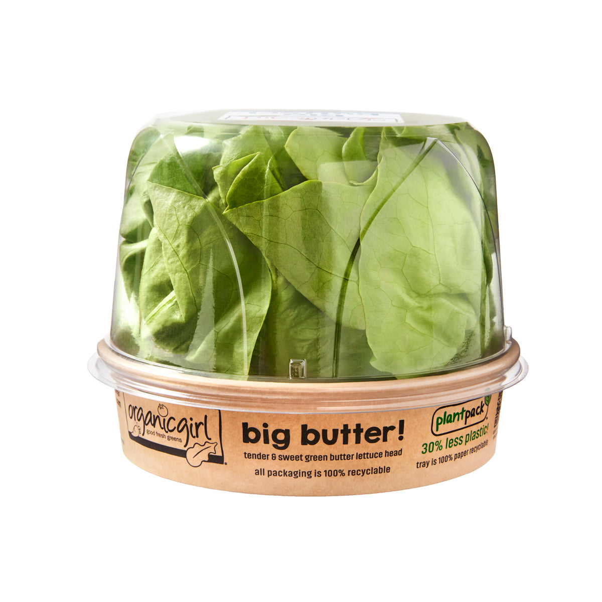 Organic Big Butter Lettuce