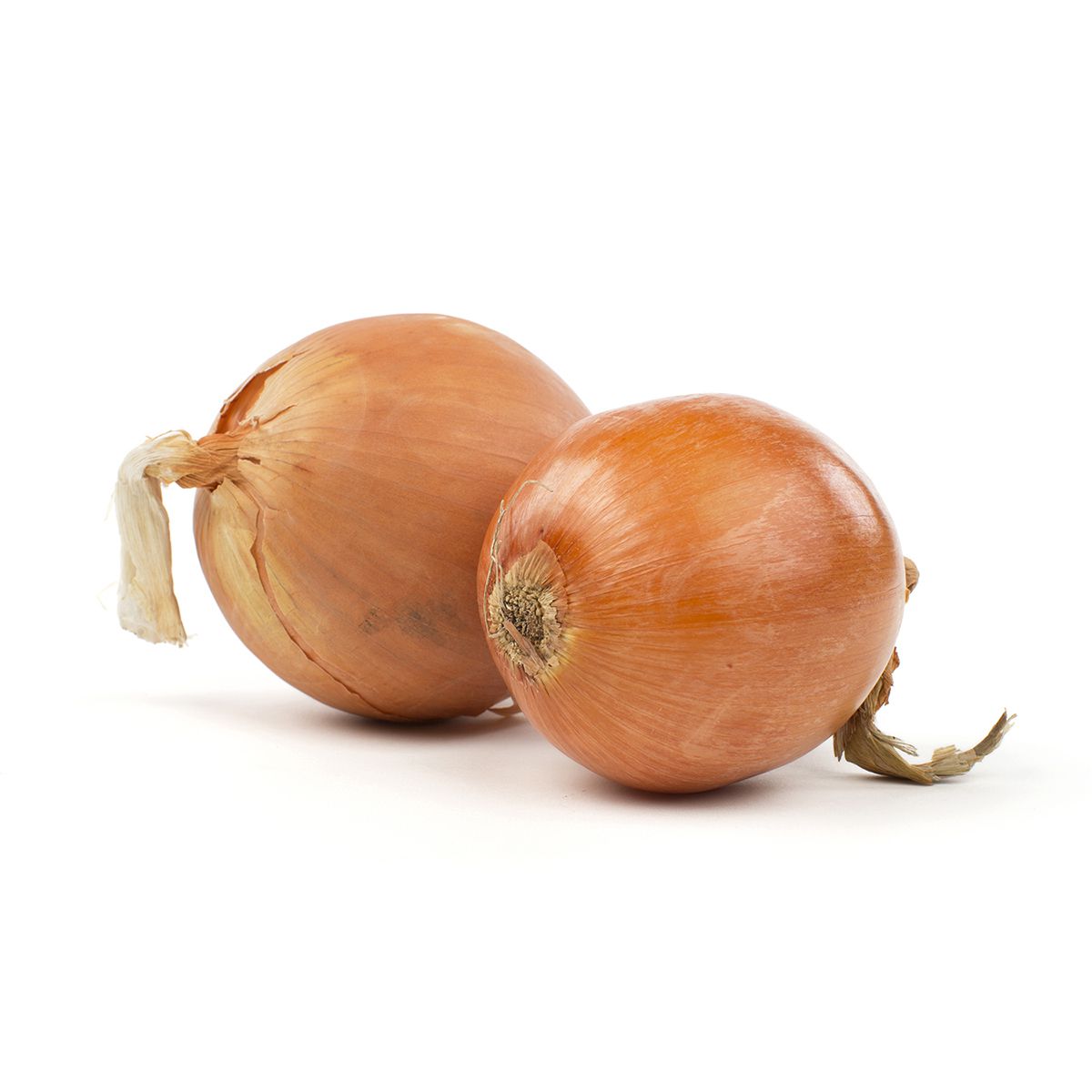 Medium Yellow Onions