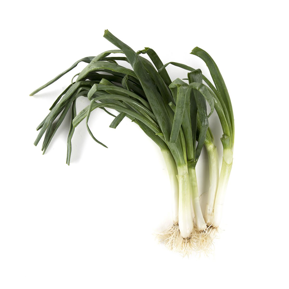 Organic Yellow Spring Onions