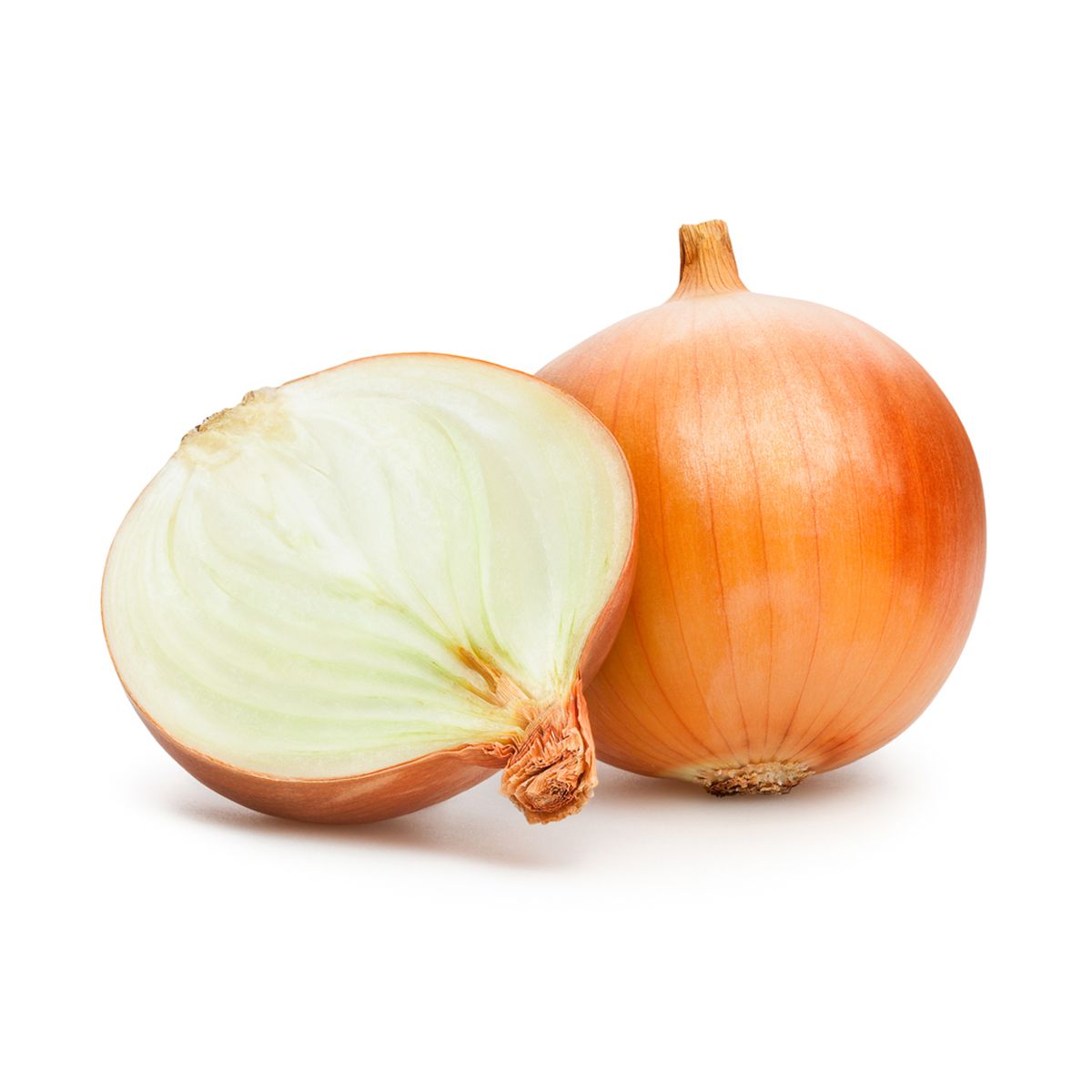 Organic Yellow Onion Bag