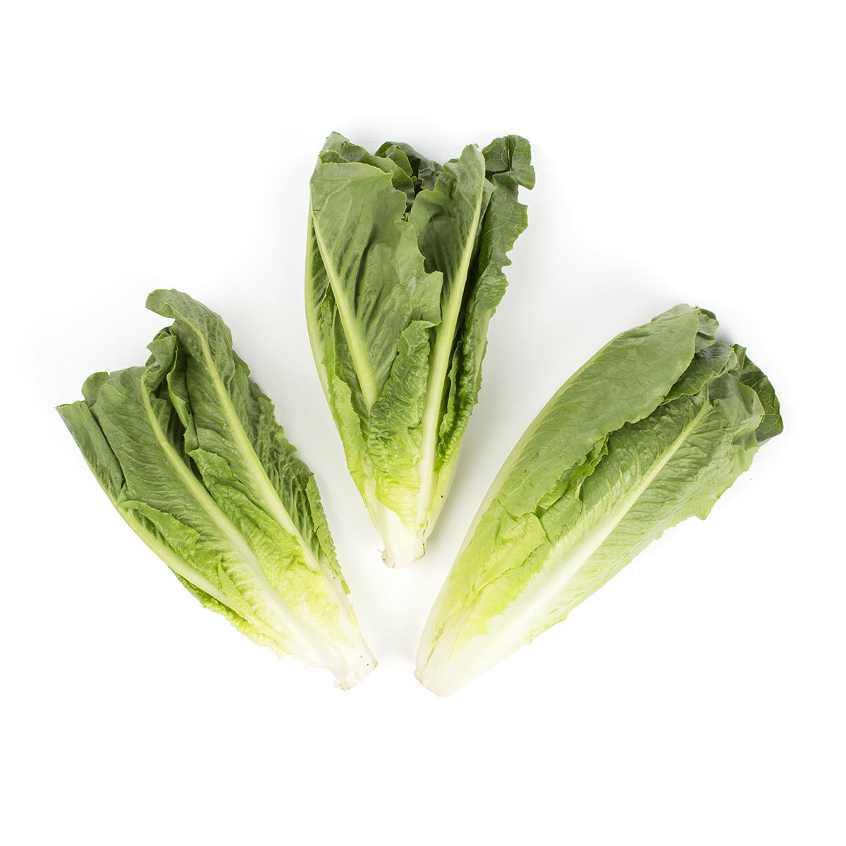 Organic Romaine Hearts