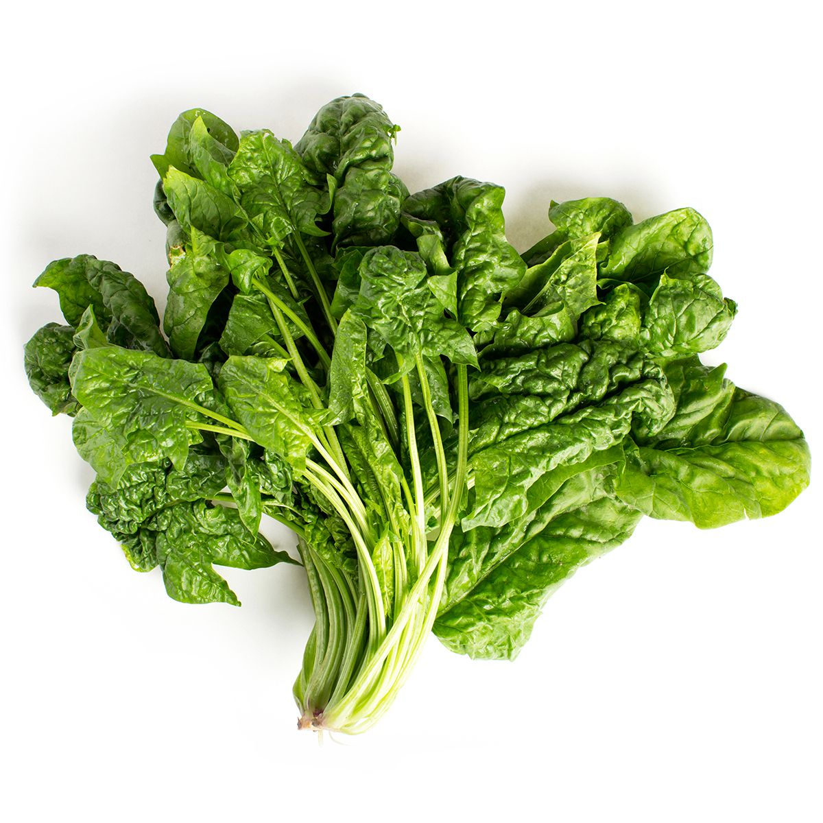 Organic Bunched Spinach