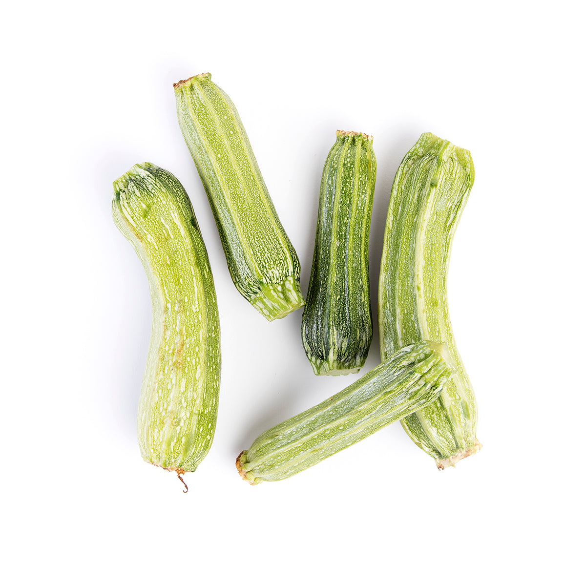 Organic Costata Romanesco Squash