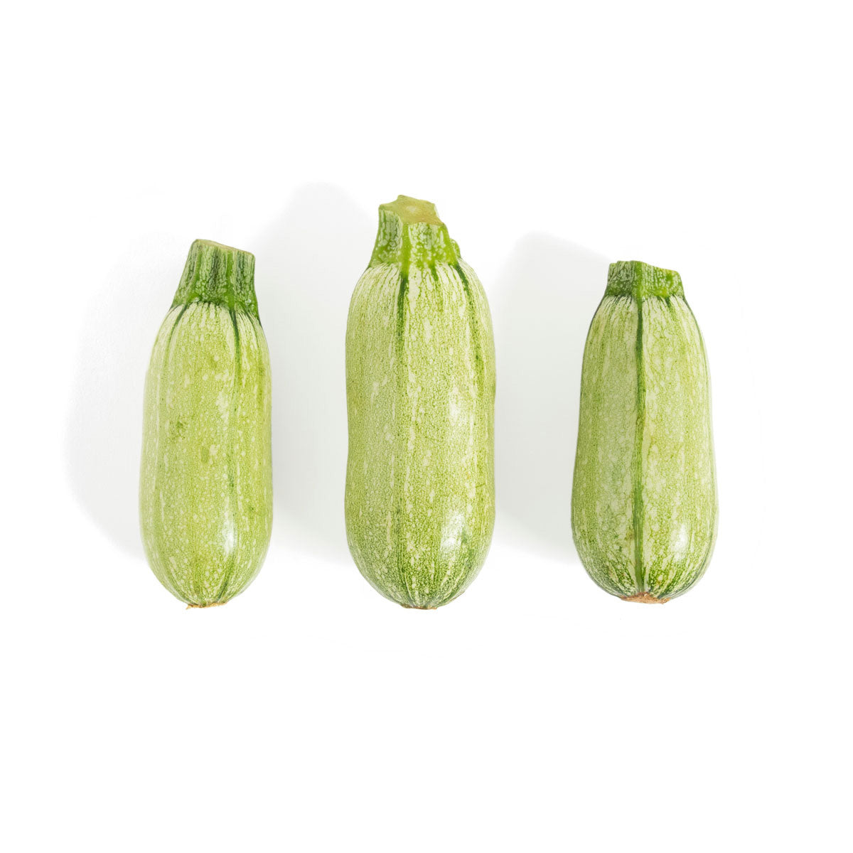 Haifa's Finest Organic Cousa Zucchini