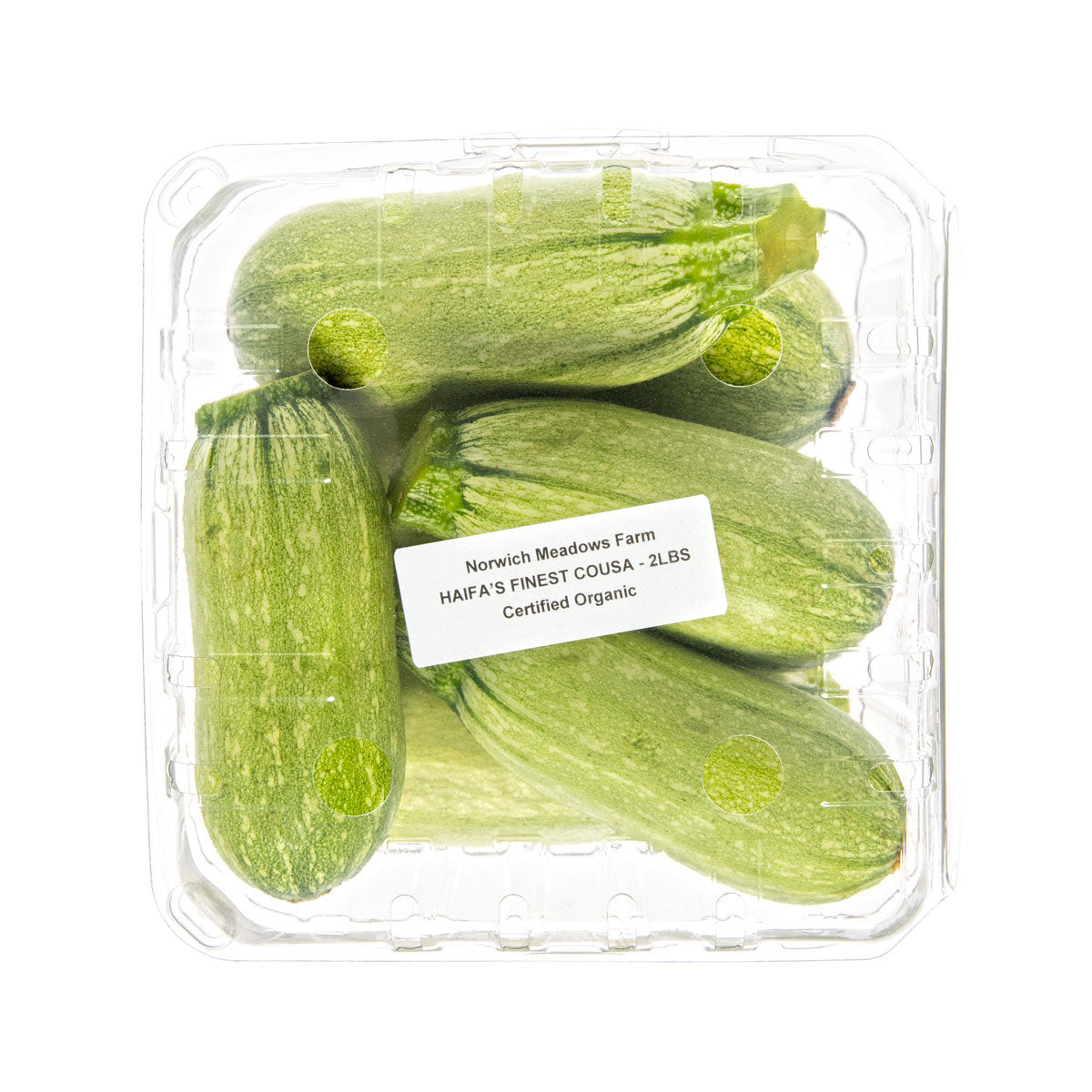 Haifa's Finest Organic Cousa Zucchini