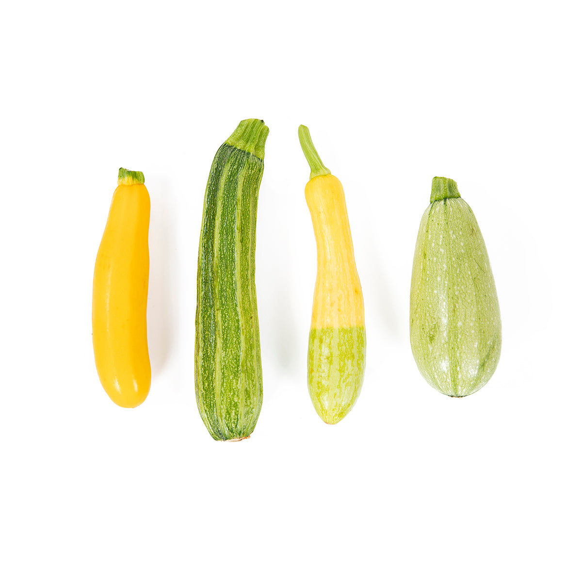 Organic Squash Mix