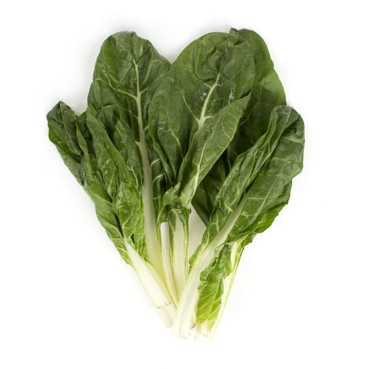 Organic Green Swiss Chard