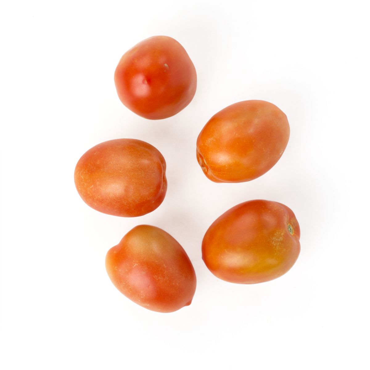 Organic XL Plum Tomatoes